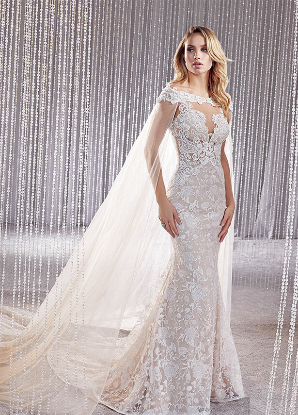 Kellysupreme Ref. KS 206-15